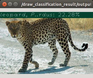 ../../_images/alexnet_object_recognition.png