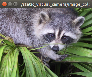 ../../_images/static_virtual_camera.png