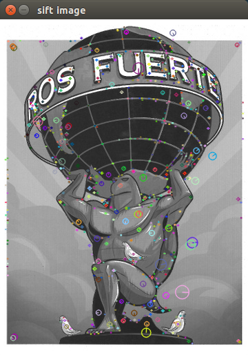 ../../_images/extract_sift_keypoints.png