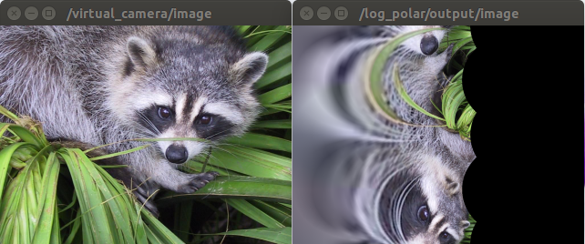 ../../_images/log_polar.png