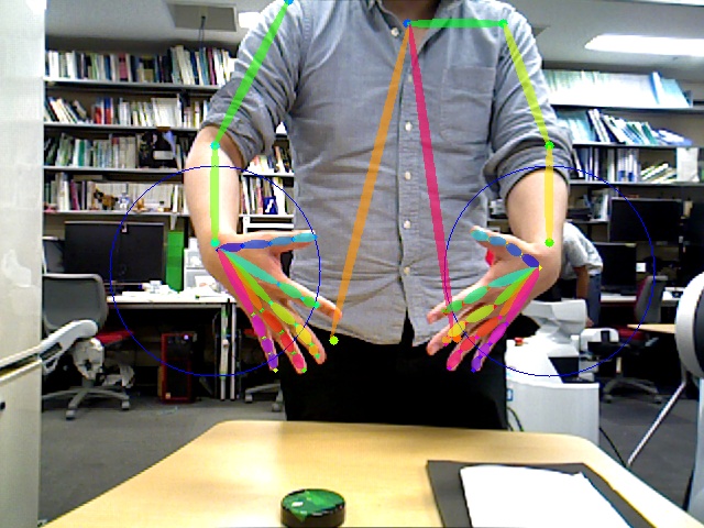 ../../_images/hand_pose_estimation_2d.png